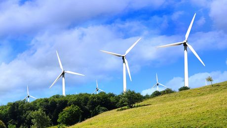 Feld mit Windkrafträdern